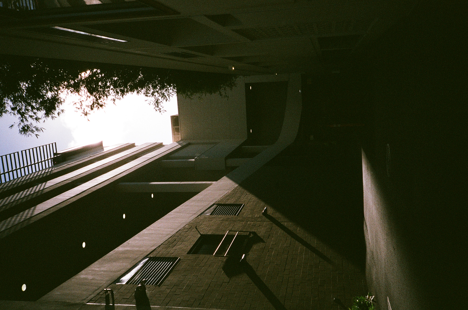 shadow waikiki